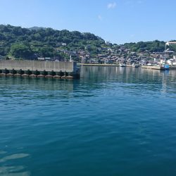 オキアミでキス