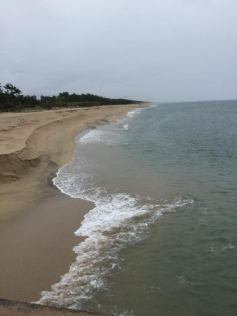 夏のスーパーライトショアジギングSLS