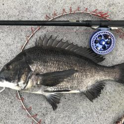 ブンブンスライダー