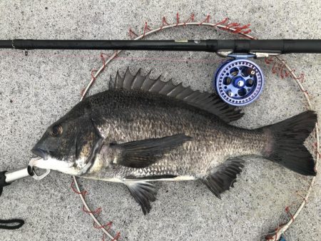 ブンブンスライダー