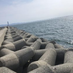 午後からショアジギング