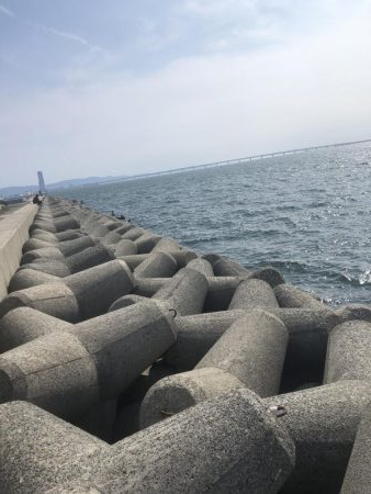 午後からショアジギング