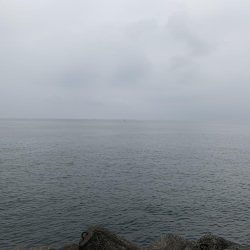 出勤前のツバス