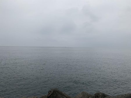 出勤前のツバス