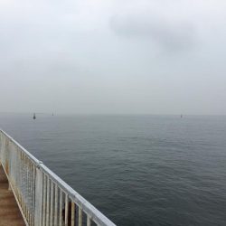 青物狙いのライトショアジギング