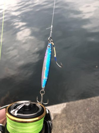 五目釣りと青物