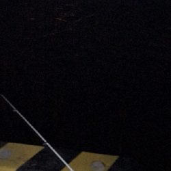 貧果ですが・・・