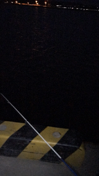 貧果ですが・・・