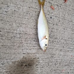 射程距離外でアウト