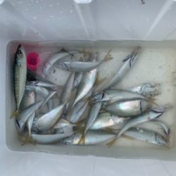 小物釣り