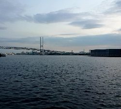 久々のシーバス♪