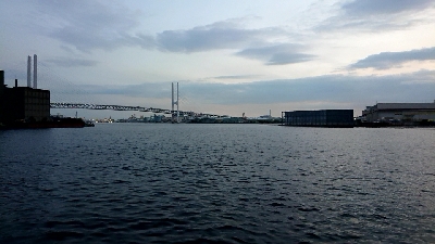 久々のシーバス♪