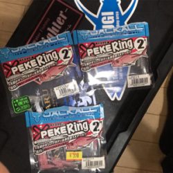 大鯖からのモジャコゲーム