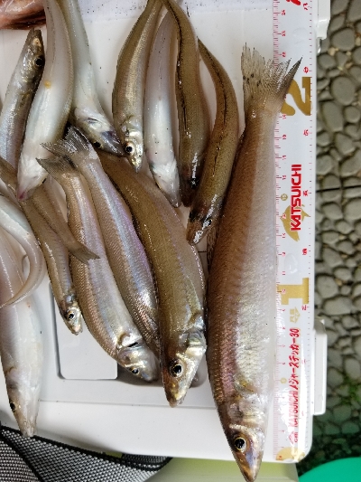 今日は近場で？