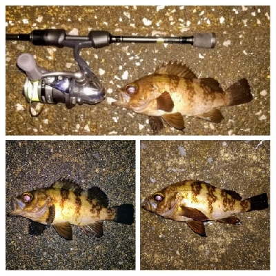 アジンガー1900〜2145