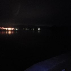 アコウを狙いに