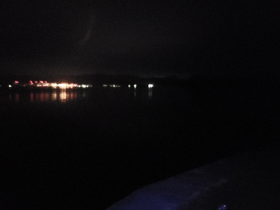 アコウを狙いに