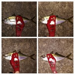 アジンガー1910〜2041