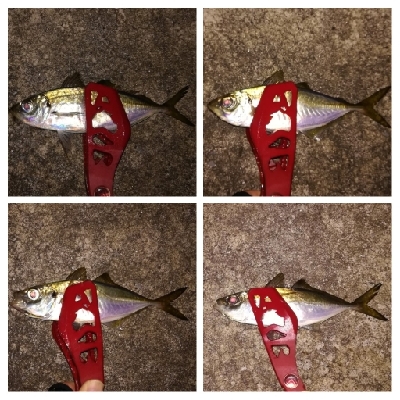 アジンガー1910〜2041