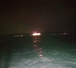 初イカメタル便