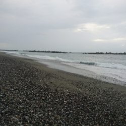 仁淀川河口周辺ライトショアジギング