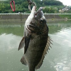 今日の釣果