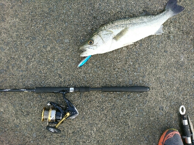 トップで20分、10バイト以上、2本ゲット！