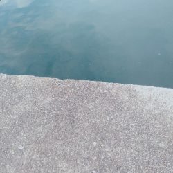 おくとぱっしんぐ