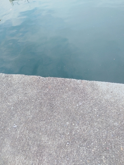 おくとぱっしんぐ