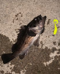 時間無制限一本勝負