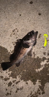 時間無制限一本勝負