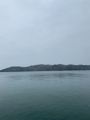 宇野沖 沖磯チヌ