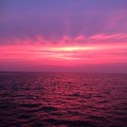 ツバス狙いで入れ食い