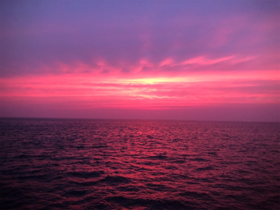 ツバス狙いで入れ食い