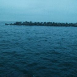 立て続けににキジハタ2匹、ヒラメが釣れました!