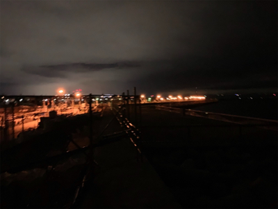 メバルが恋しくて!