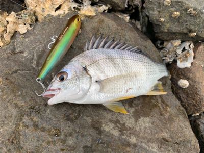 爆風トップゲーム