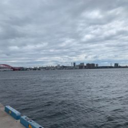 やっとのツバス