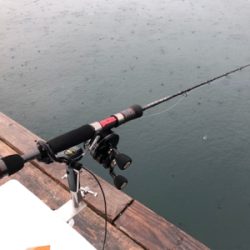 久しぶりに満足の釣り