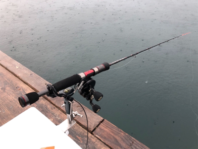 久しぶりに満足の釣り