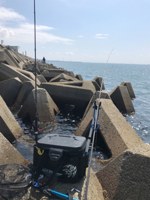 木材港キス釣り(^^)