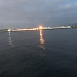 遊んで頂きました!