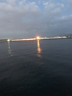 遊んで頂きました!