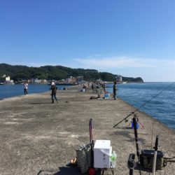 ビッグバッカー 鰤カスタム