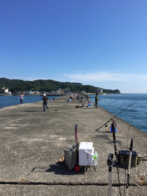 ビッグバッカー 鰤カスタム