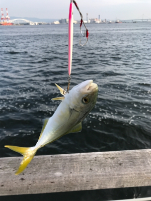 ちびっ子サイズ