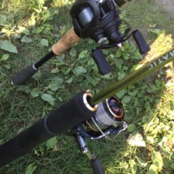 つりぴぃぽぉ釣果