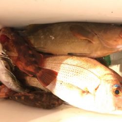 初めての一つテンヤ