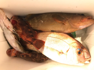 初めての一つテンヤ