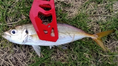 アジンガー1810〜1940